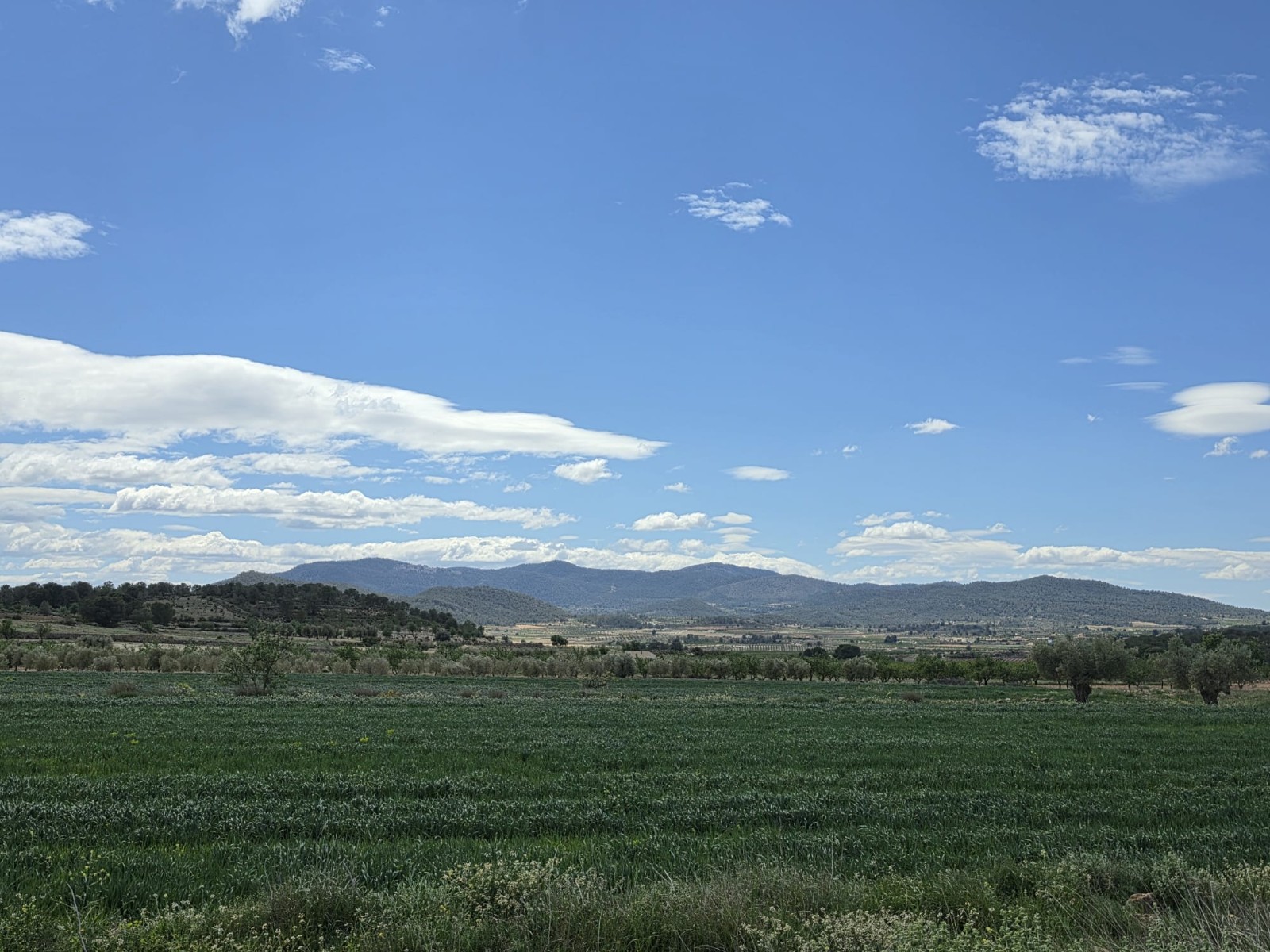 Finca en venta en Monóvarmonóver