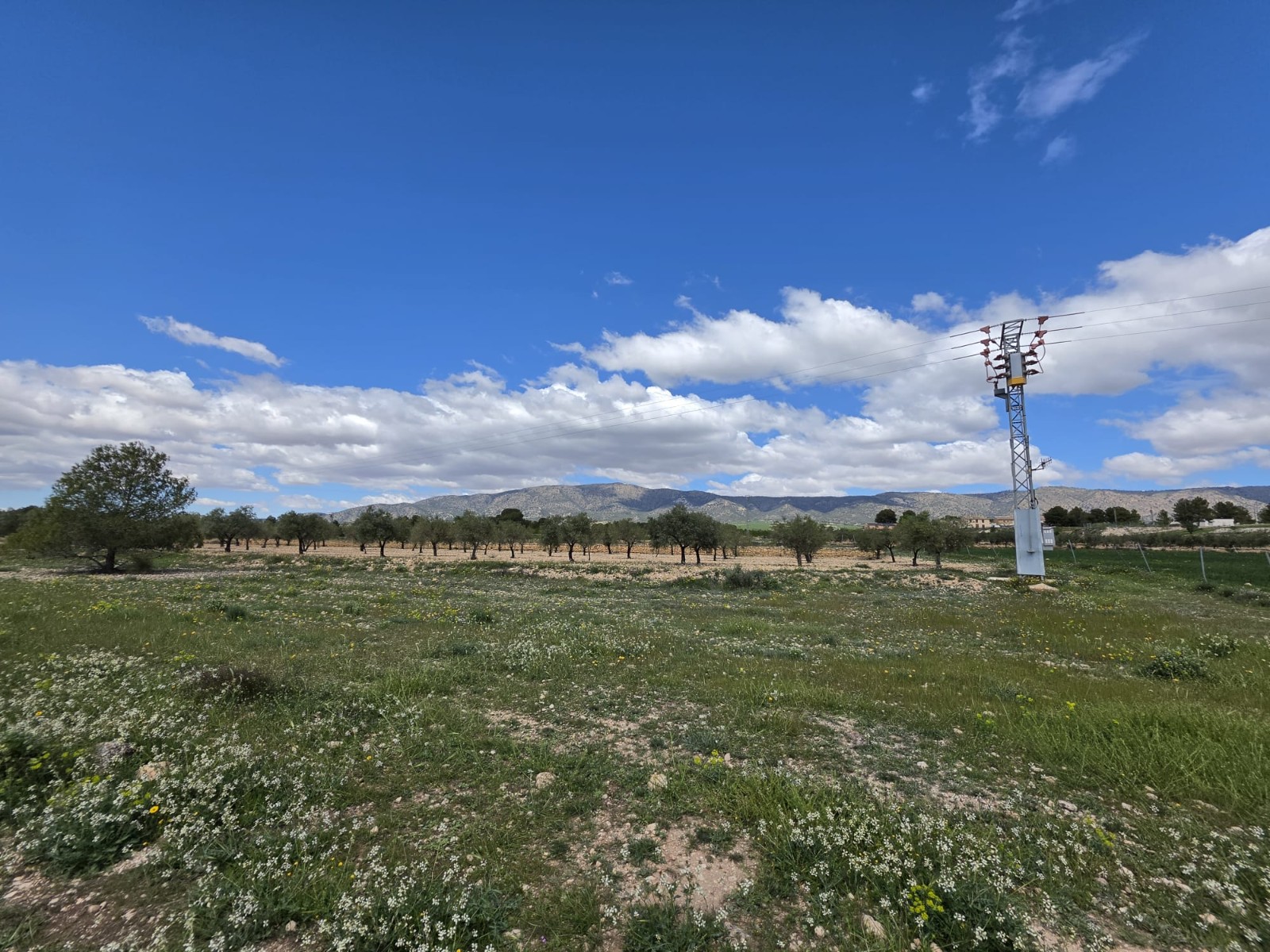 Finca en venta en Monóvarmonóver