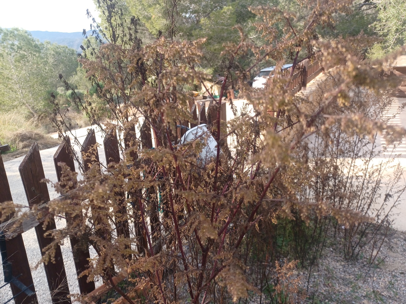 Finca en venta en Gea Y Truyols
