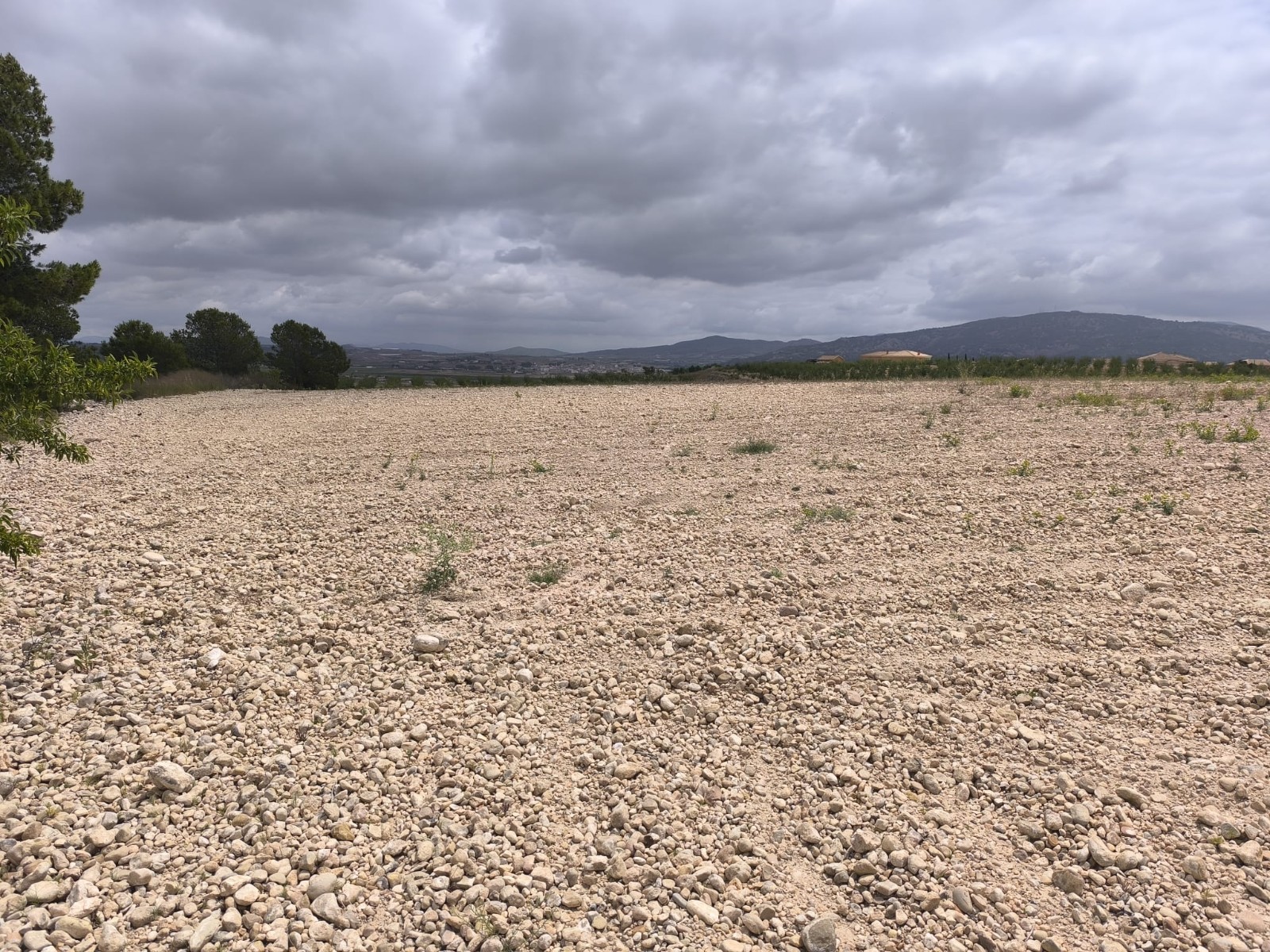 Finca en venta en Pinoso