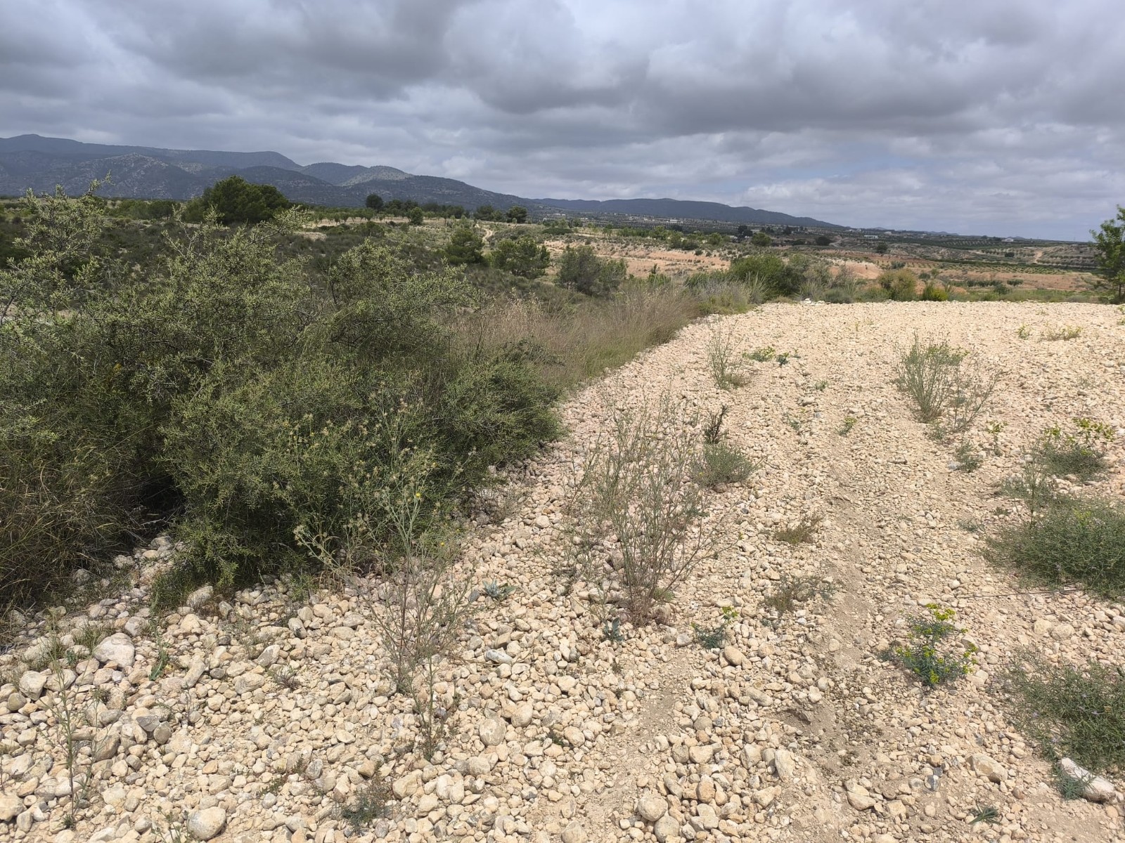Finca en venta en Pinoso