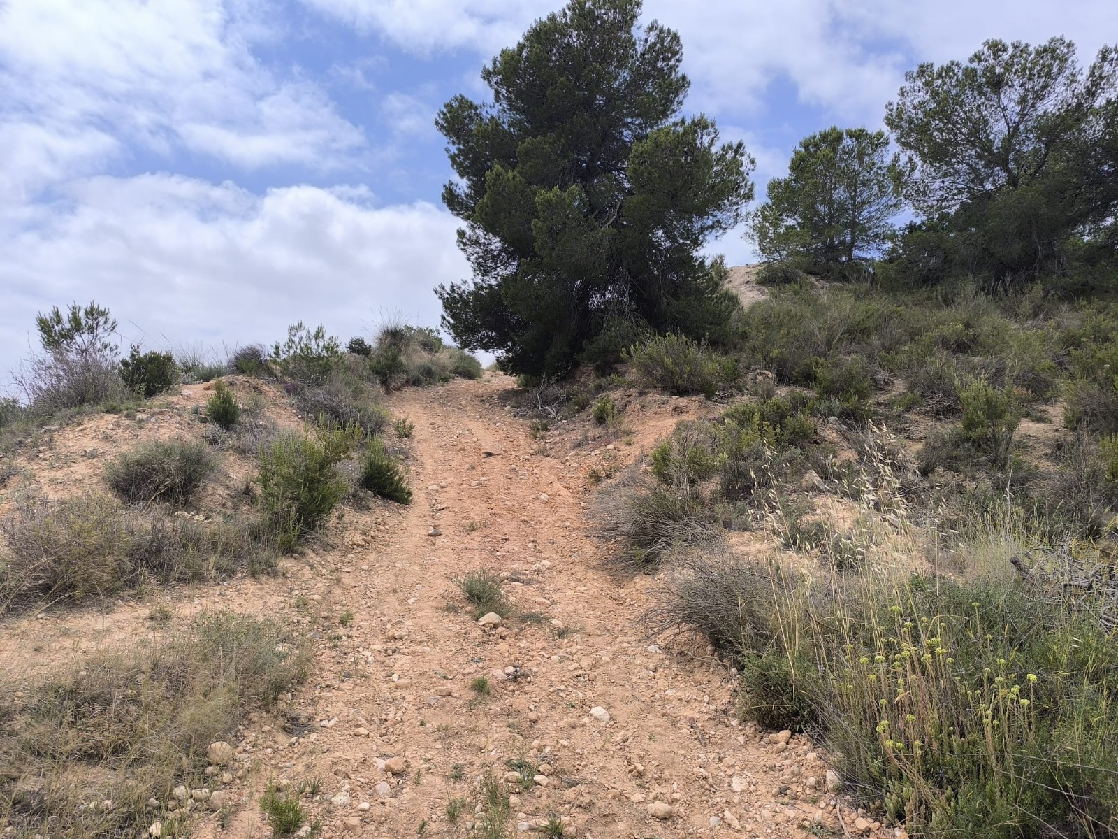 Finca en venta en Pinoso
