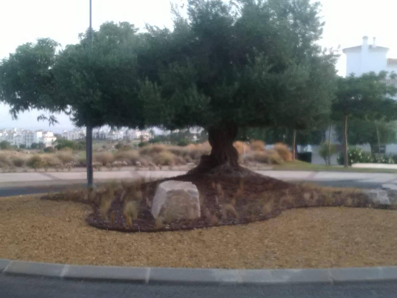 Piso en venta en Sucina