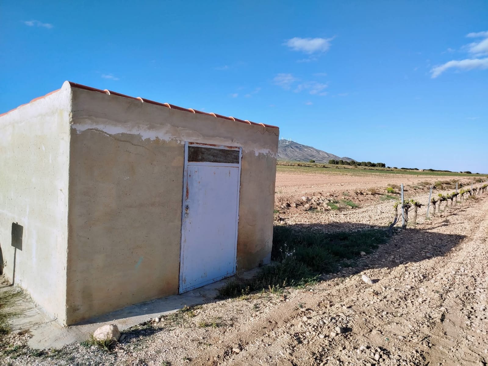 Casa de Campo en venta en Yecla