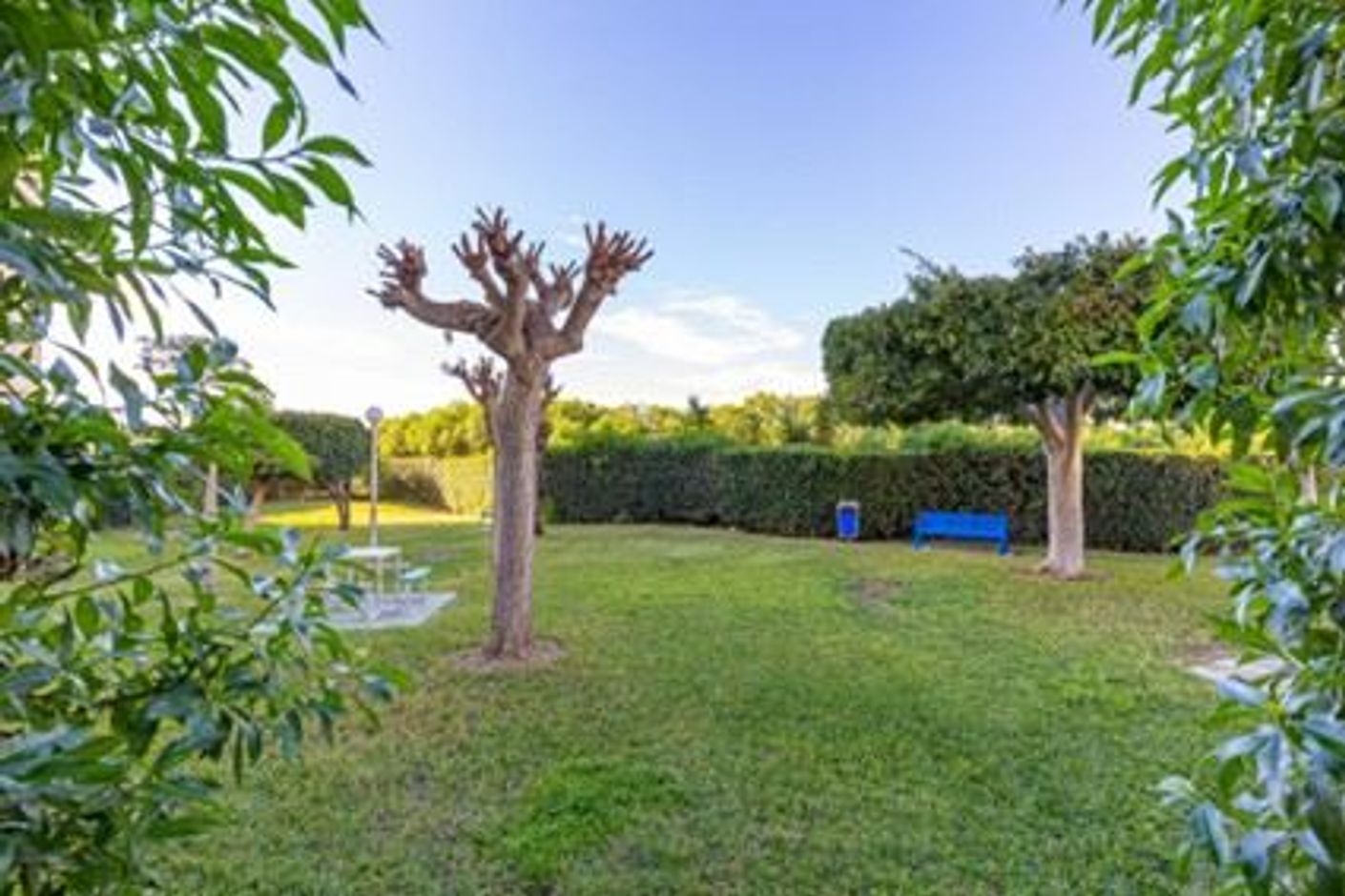 Piso en venta en Torrevieja