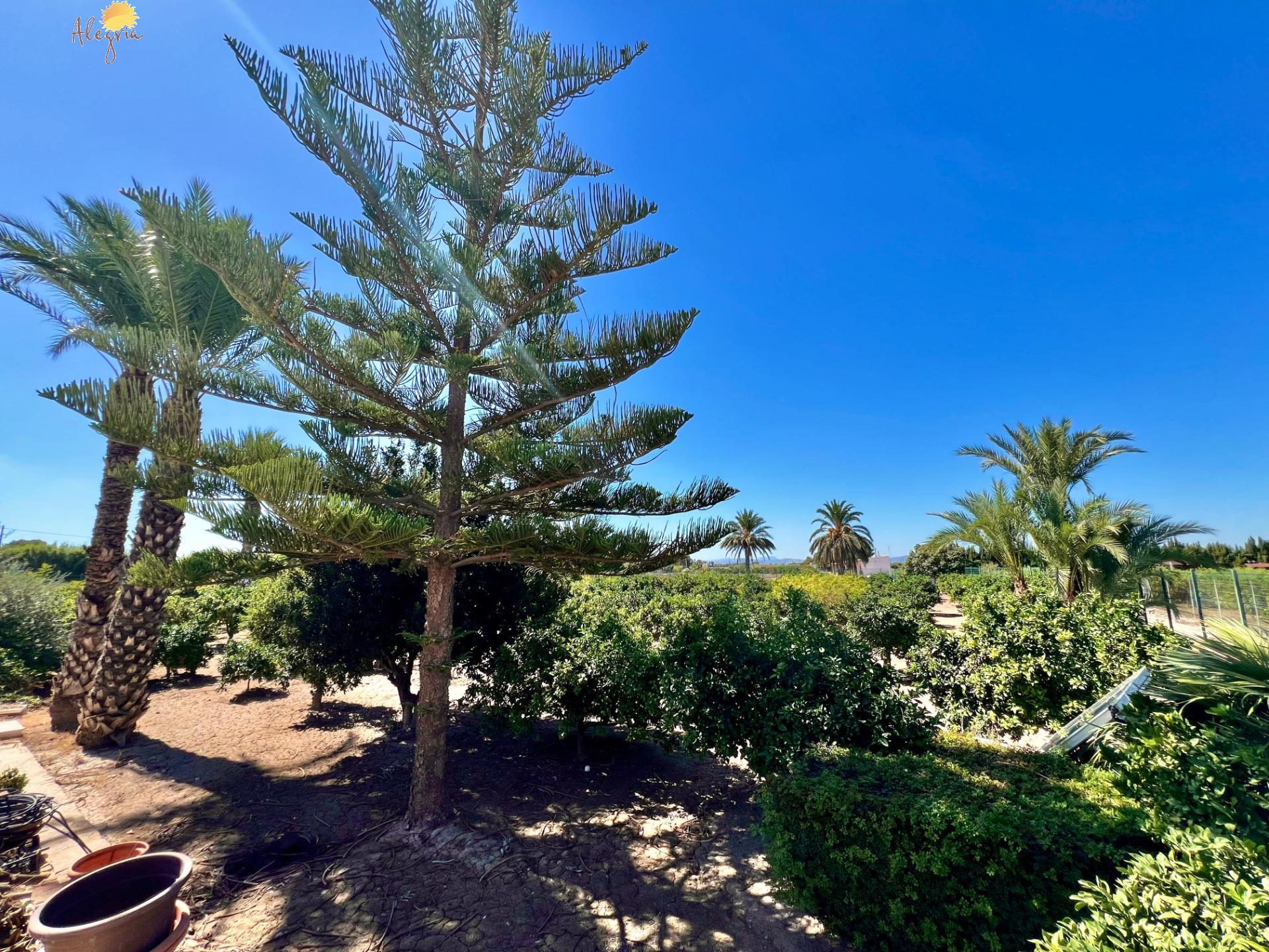 Villa en venta en Almoradi