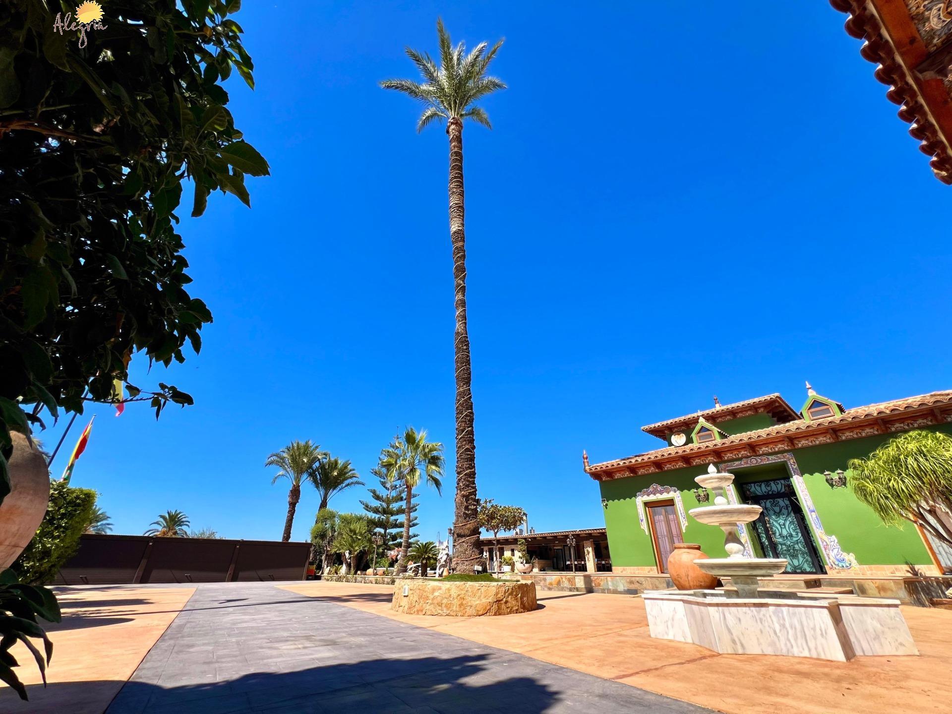 Villa en venta en Almoradi