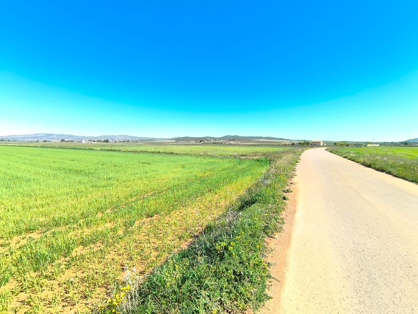 Finca en venta en Yecla