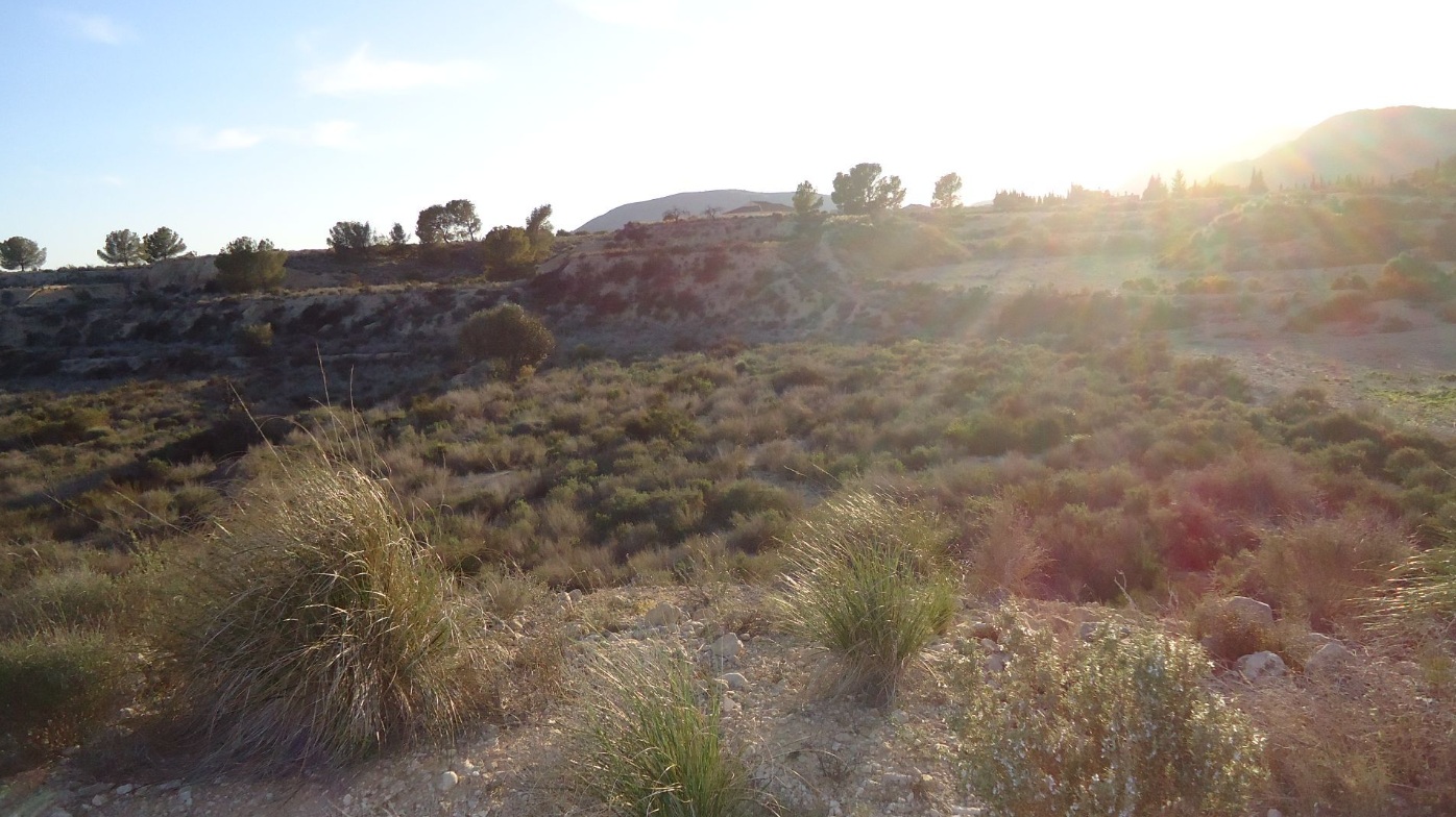 Finca for sale in Abanilla, Murcia, Spain