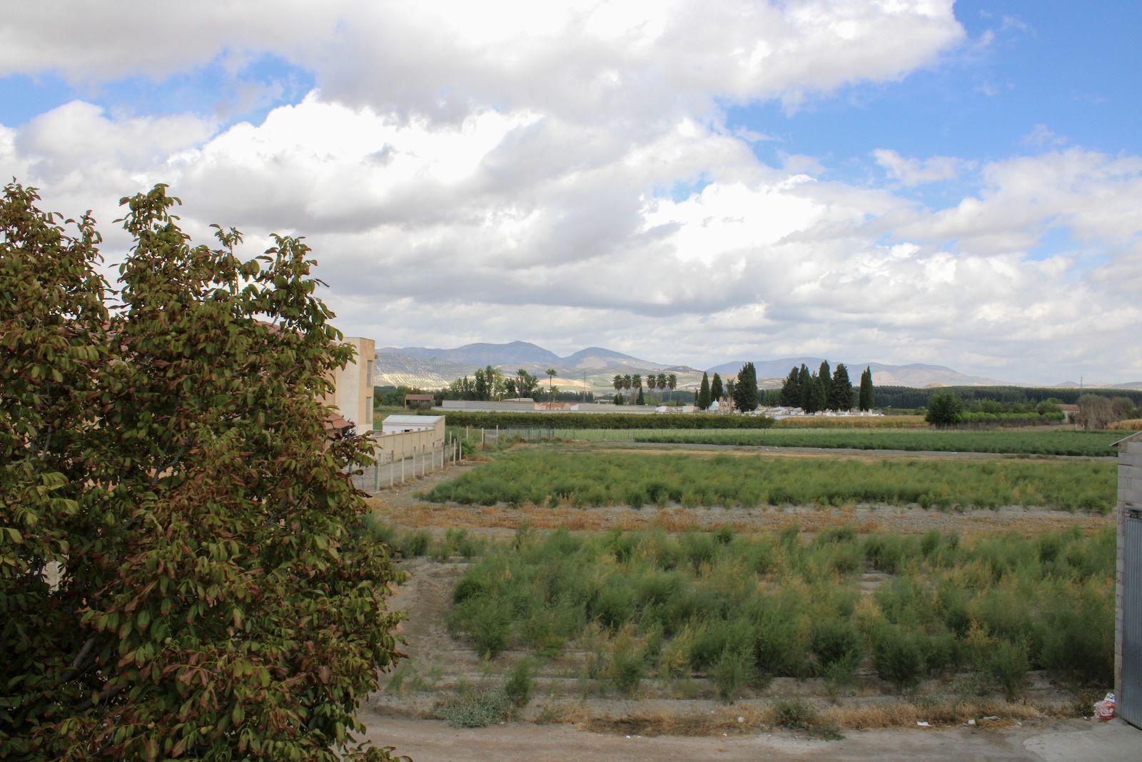 Villa en venta en Fuente Vaqueros