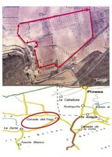 Finca en venta en Abanilla
