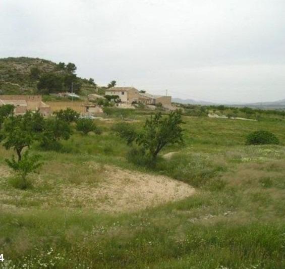 Finca en venta en Abanilla