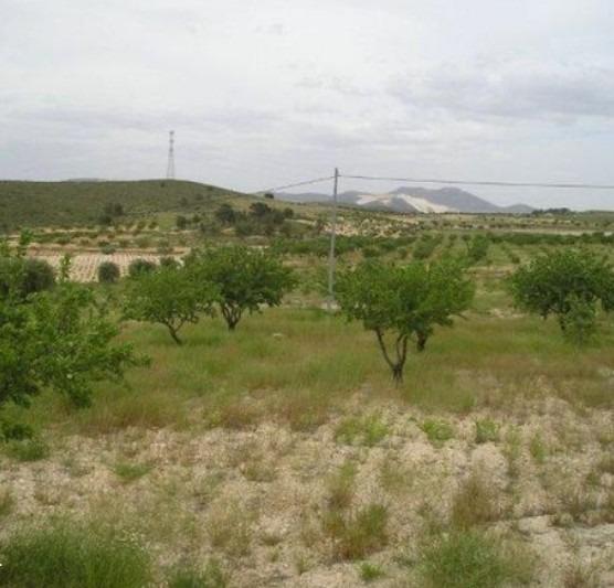 Finca en venta en Abanilla