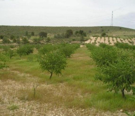 Finca en venta en Abanilla