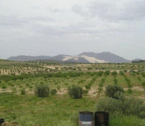 Finca en venta en Abanilla