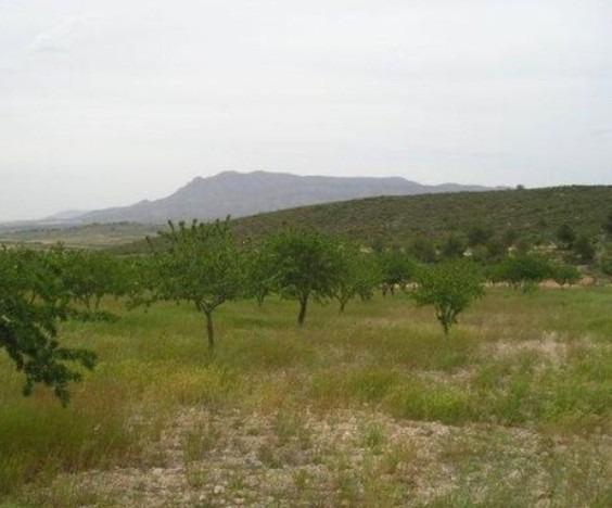 Finca en venta en Abanilla