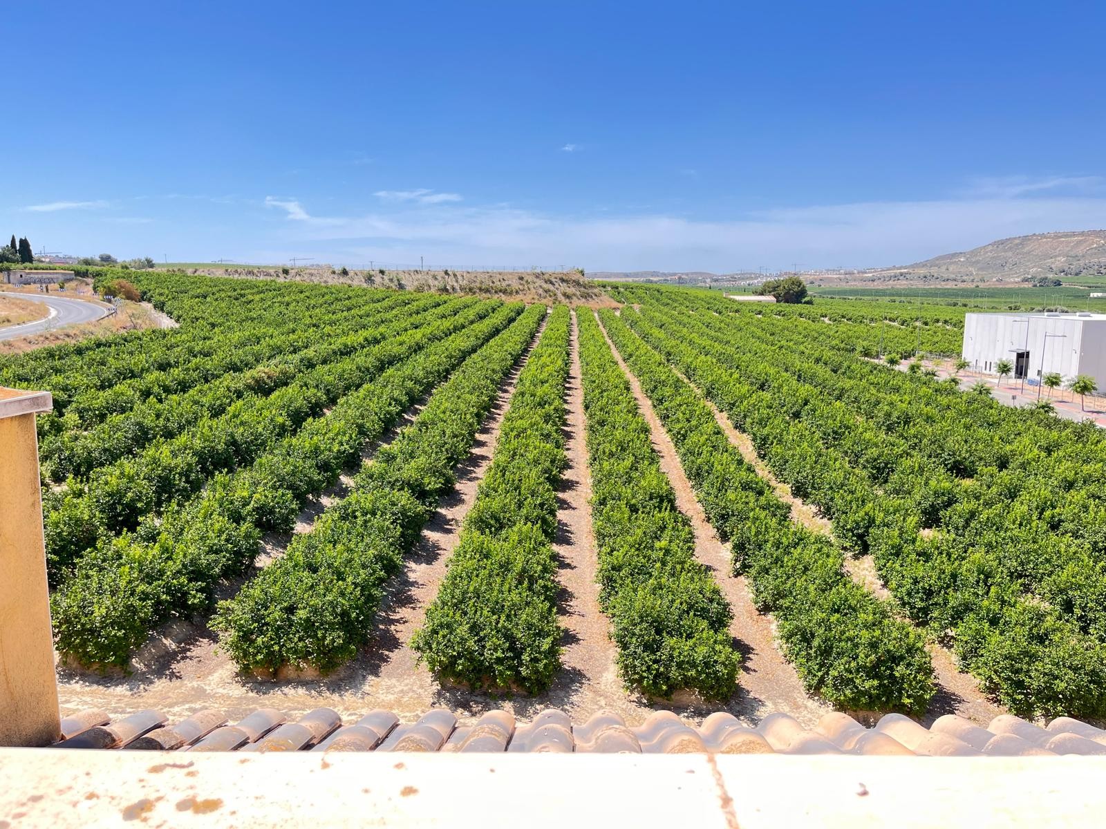 Apartment for sale in Algorfa, Alicante, Spain