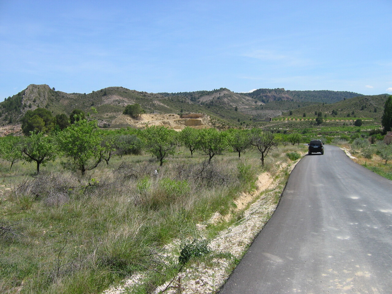 Finca en venta en Calasparra