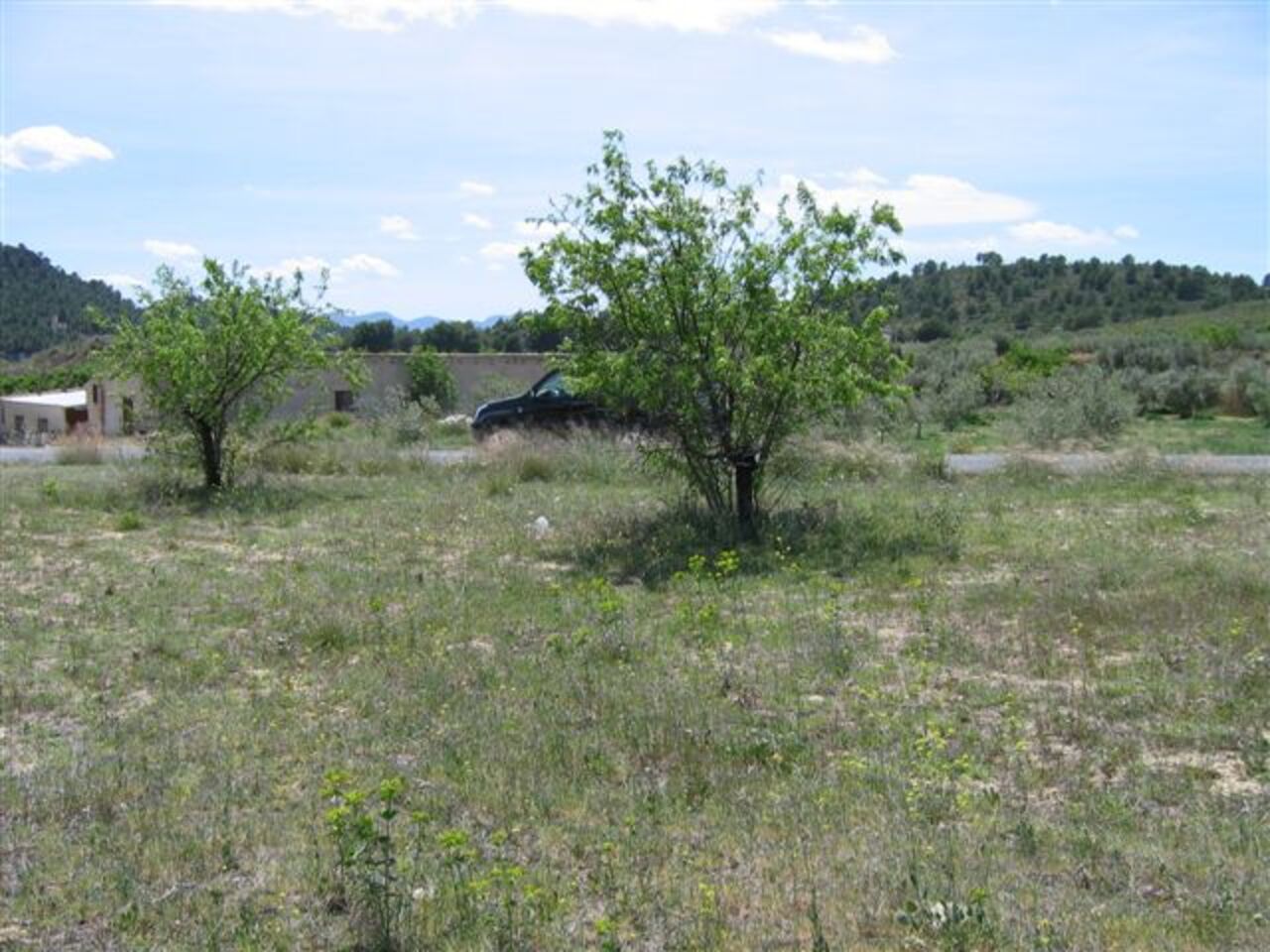 Finca en venta en Calasparra