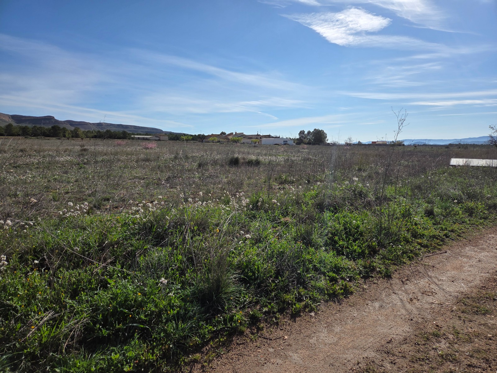 Finca for sale in Yecla, Murcia, Spain