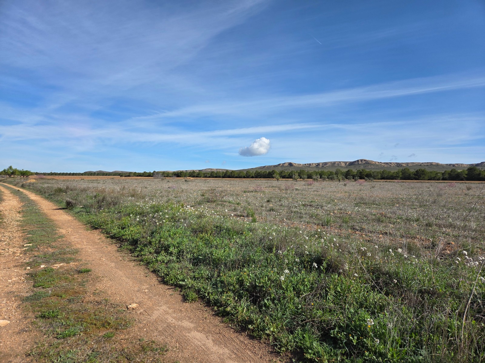 Finca for sale in Yecla, Murcia, Spain