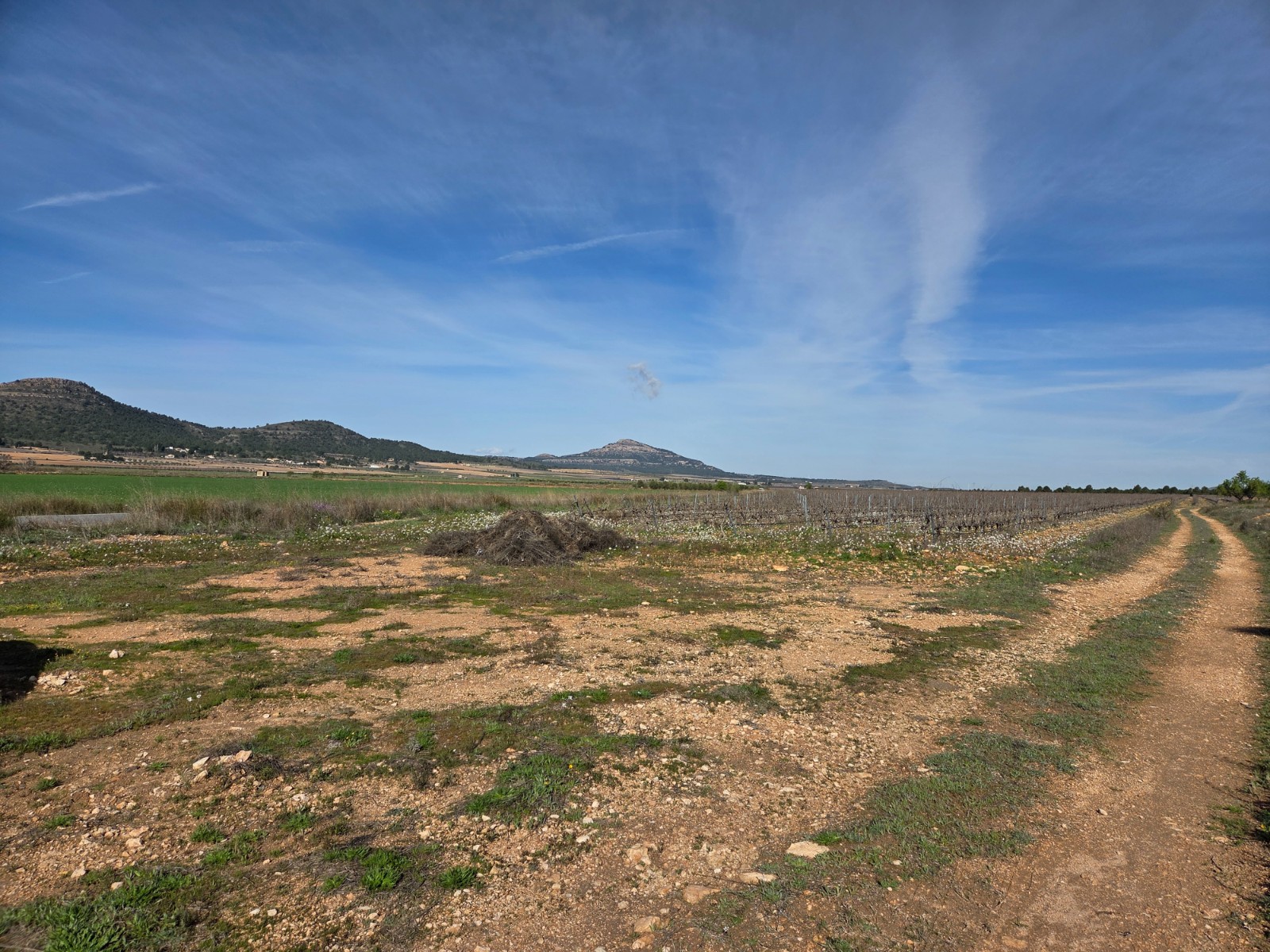 Finca for sale in Yecla, Murcia, Spain