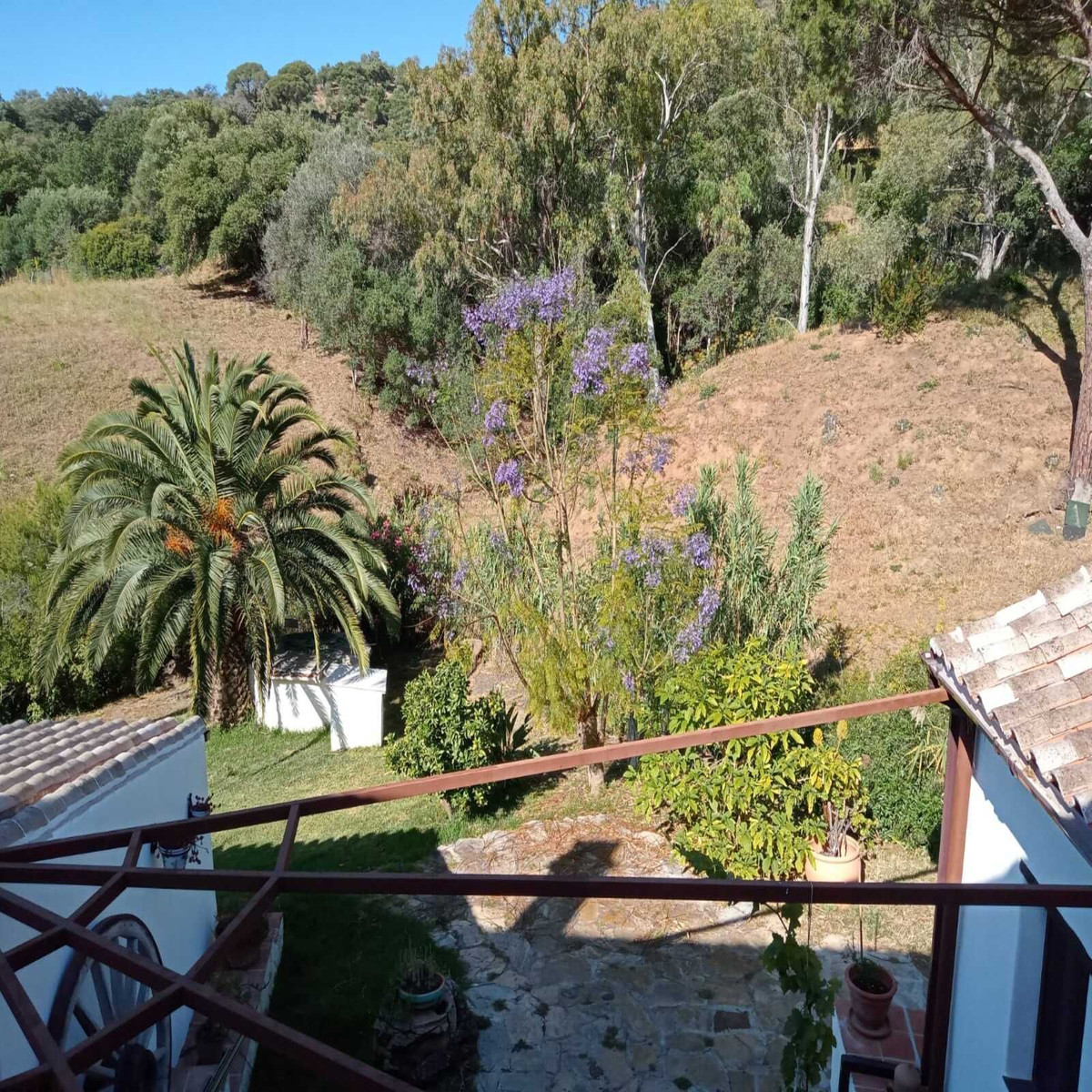 Finca en venta en Casares