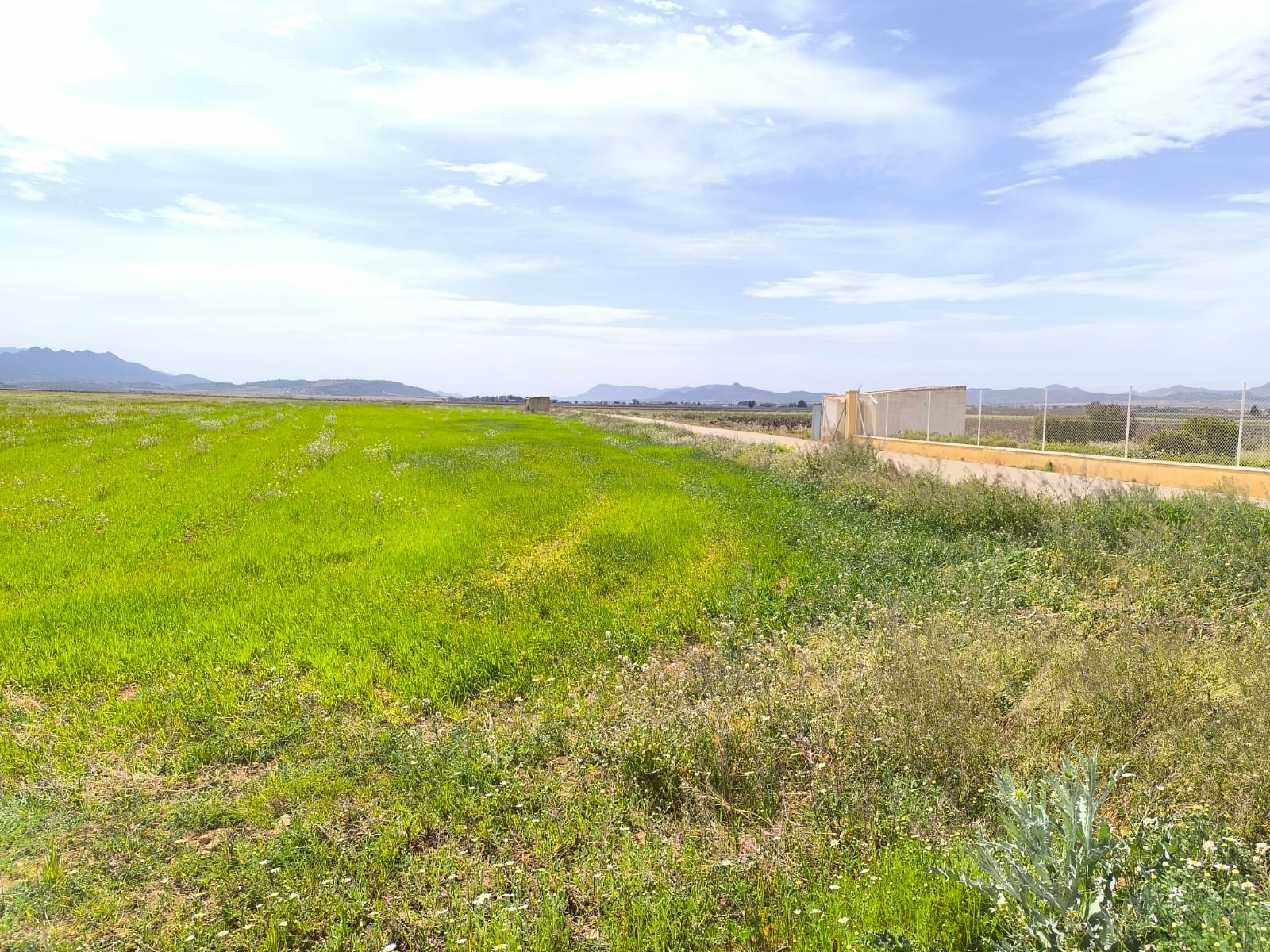 Casa de Campo en venta en Yecla