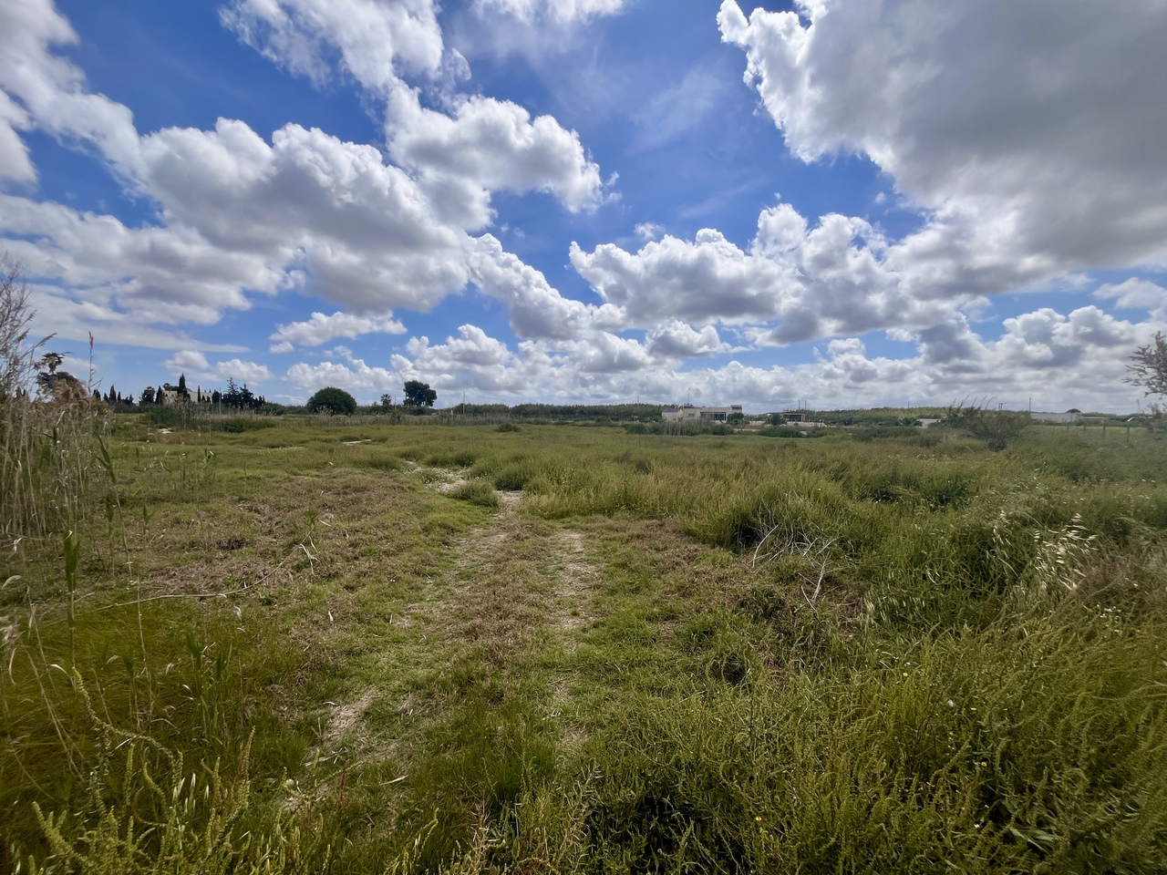 Finca for sale in Catral, Alicante, Spain