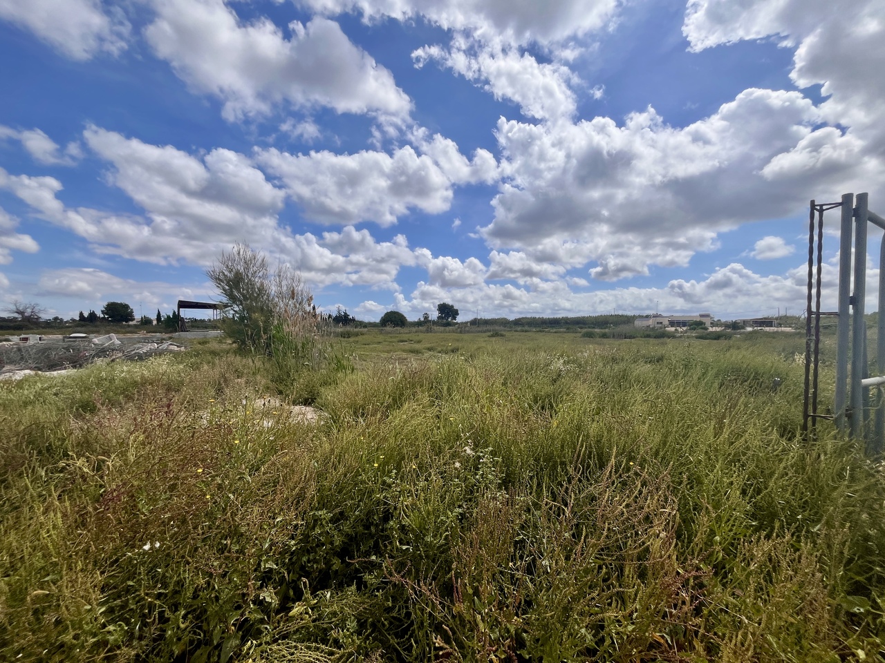 Finca for sale in Catral, Alicante, Spain