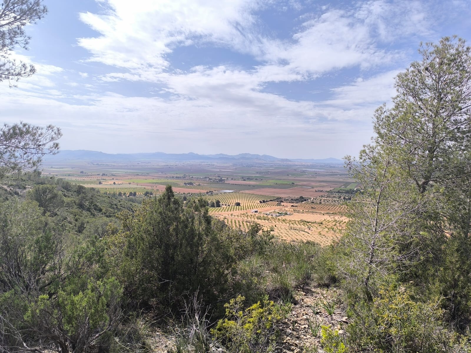 Finca for sale in Yecla, Murcia, Spain