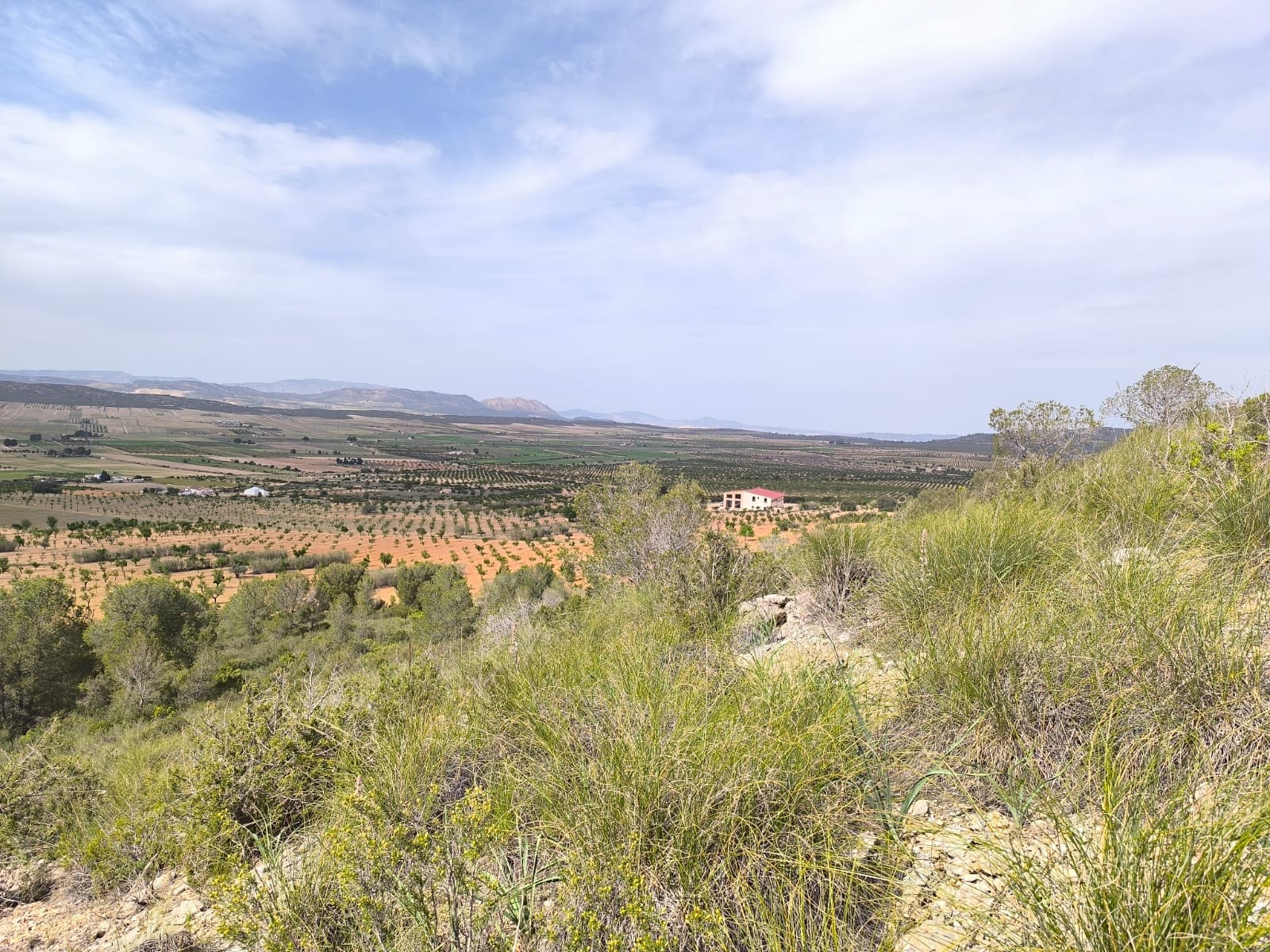 Finca for sale in Yecla, Murcia, Spain