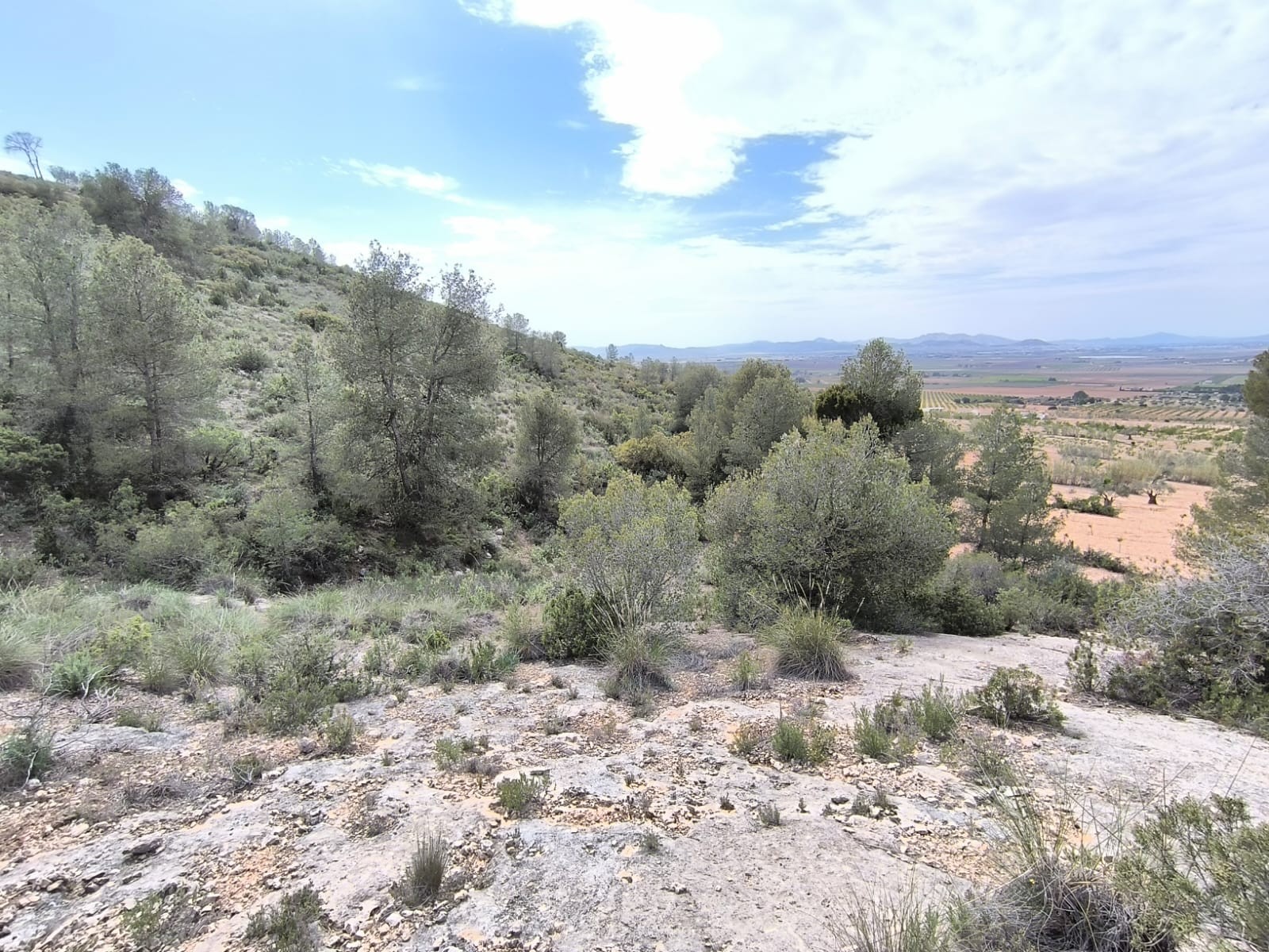 Finca for sale in Yecla, Murcia, Spain