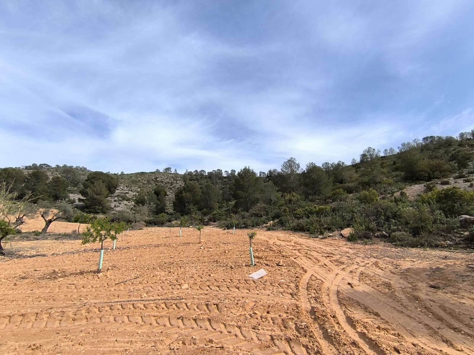 Finca for sale in Yecla, Murcia, Spain