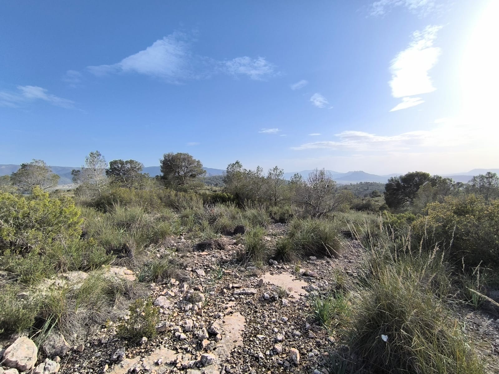 Finca for sale in Yecla, Murcia, Spain
