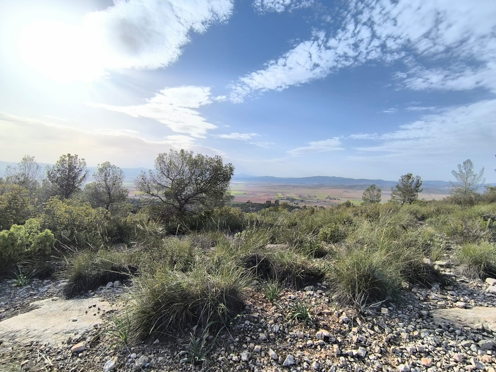 Finca for sale in Yecla, Murcia, Spain