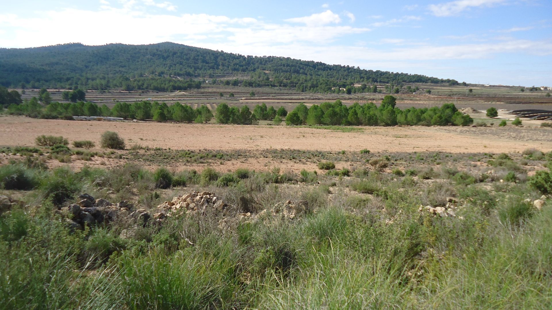 Finca for sale in Monóvarmonóver, Alicante, Spain