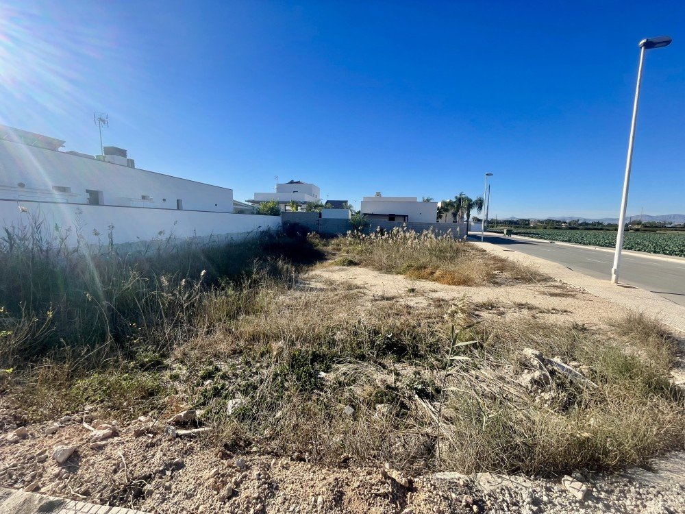 Finca for sale in Formentera Del Segura, Alicante, Spain