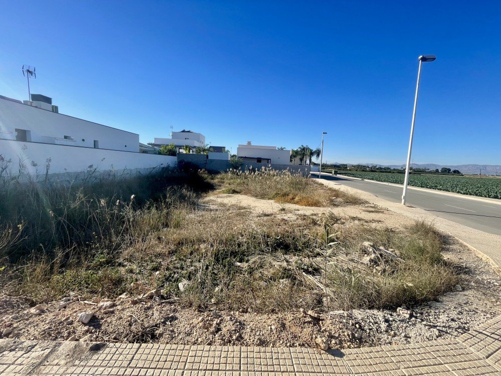 Finca for sale in Formentera Del Segura, Alicante, Spain