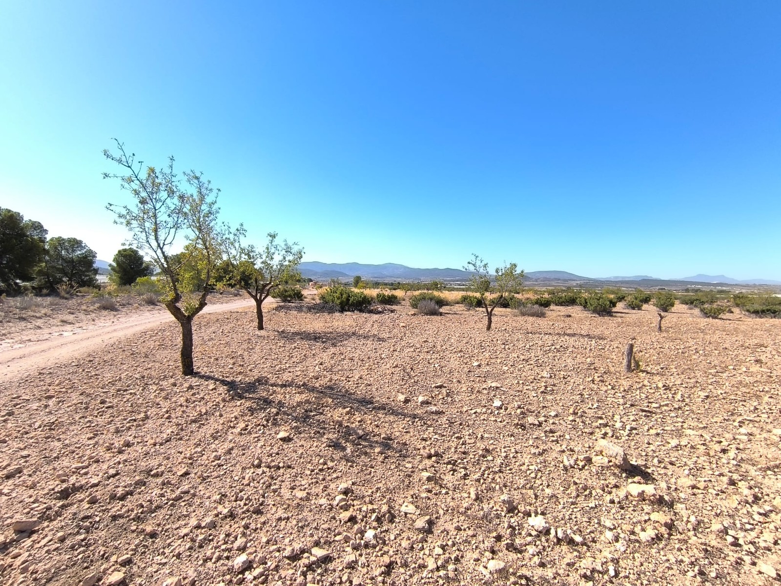 Finca en venta en Monóvarmonóver