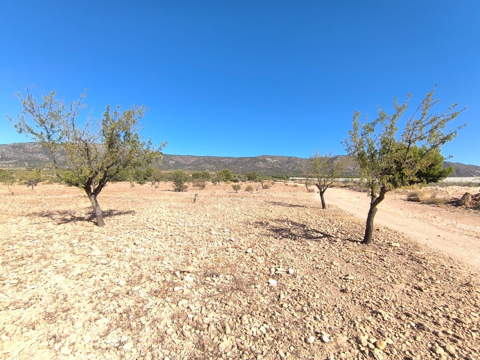 Finca en venta en Monóvarmonóver